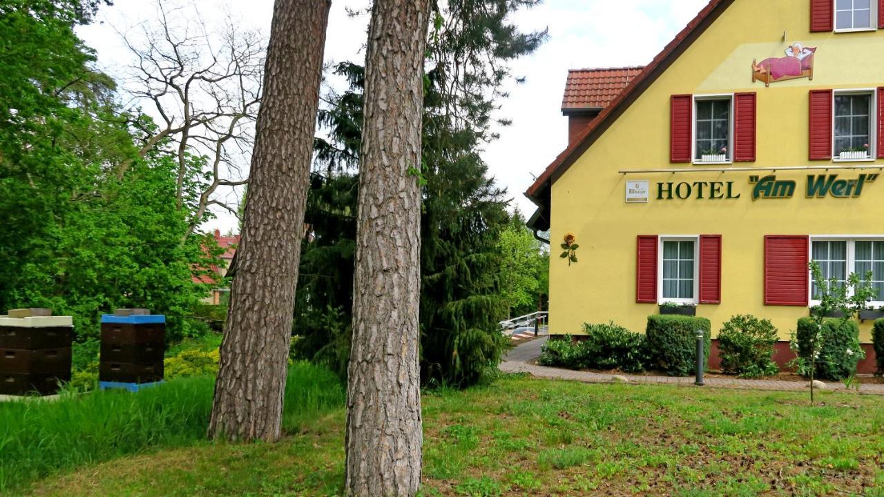 Hotel "Am Werl" Bad Saarow Extérieur photo